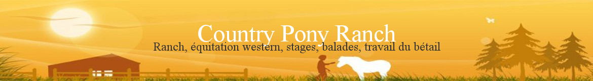 Country Pony Ranch